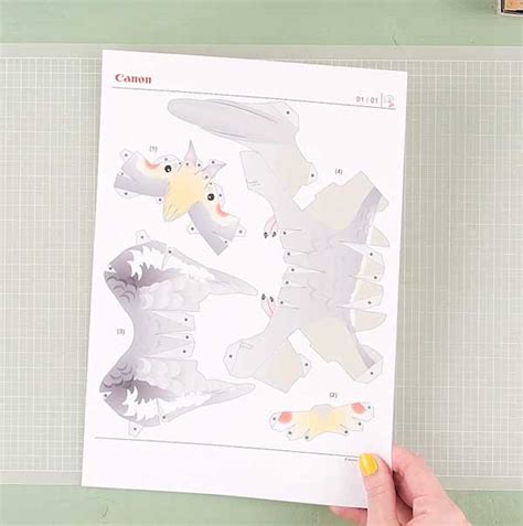 Canon : Inkjet Manuals : Create and Play with Paper .